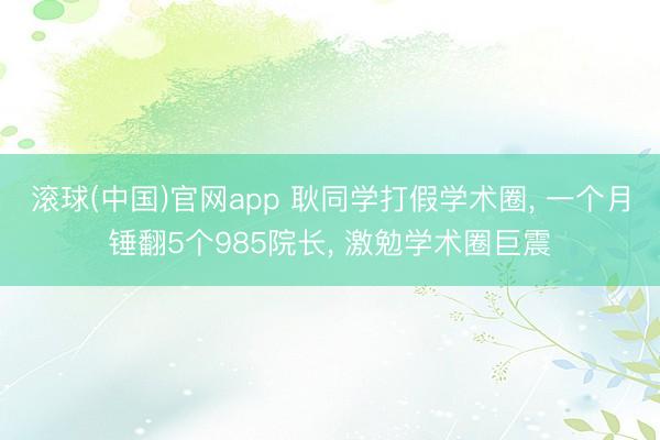 滚球(中国)官网app 耿同学打假学术圈, 一个月锤翻5个985院长, 激勉学术圈巨震