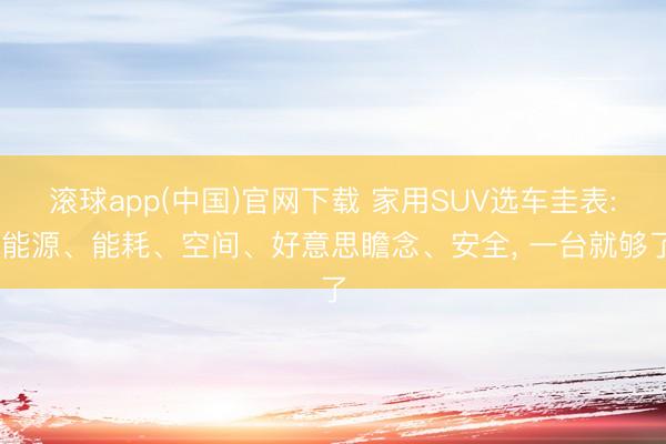 滚球app(中国)官网下载 家用SUV选车圭表: 能源、能耗、空间、好意思瞻念、安全, 一台就够了