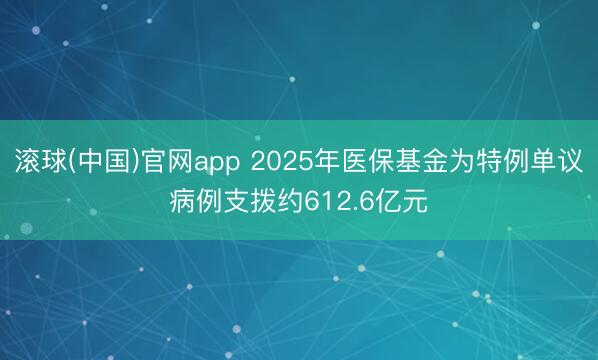 滚球(中国)官网app 2025年医保基金为特例单议病例支拨约612.6亿元