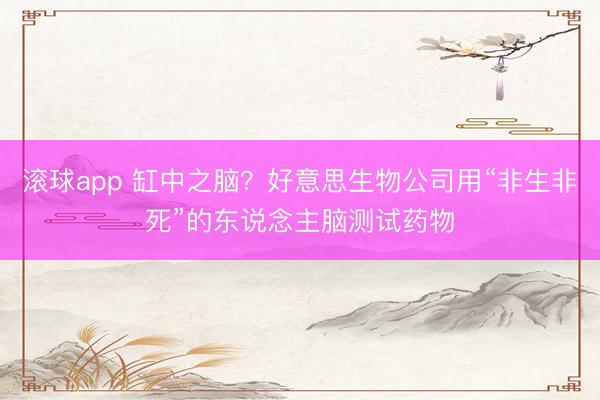 滚球app 缸中之脑?好意思生物公司用“非生非死”的东说念主脑测试药物