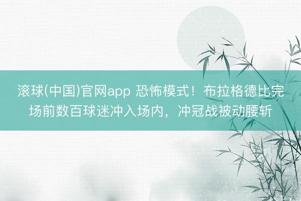 滚球(中国)官网app 恐怖模式!布拉格德比完场前数百球迷冲入场内,冲冠战被动腰斩