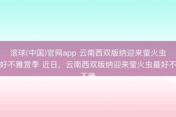 滚球(中国)官网app 云南西双版纳迎来萤火虫最好不雅赏季 近日,云南西双版纳迎来萤火虫最好不雅