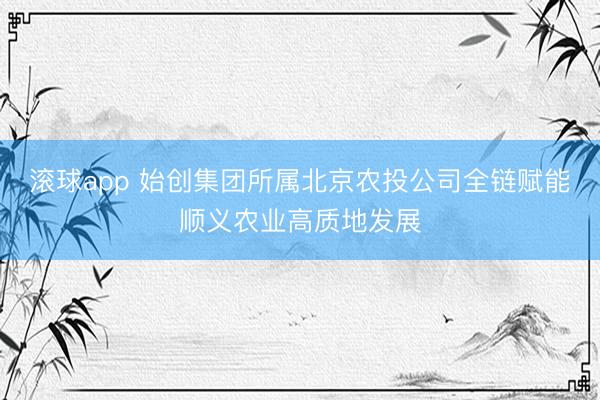滚球app 始创集团所属北京农投公司全链赋能顺义农业高质地发展