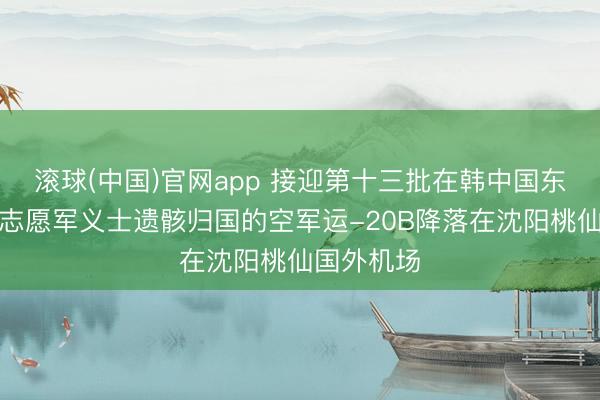 滚球(中国)官网app 接迎第十三批在韩中国东说念主民志愿军义士遗骸归国的空军运-20B降落在沈阳桃仙国外机场
