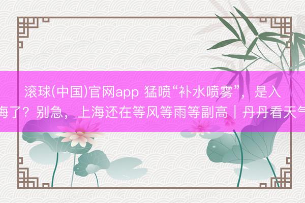 滚球(中国)官网app 猛喷“补水喷雾”，是入梅了？别急，上海还在等风等雨等副高｜丹丹看天气