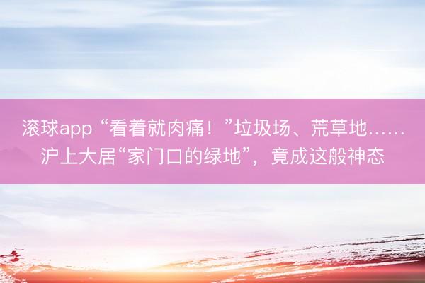 滚球app “看着就肉痛！”垃圾场、荒草地……沪上大居“家门口的绿地”，竟成这般神态