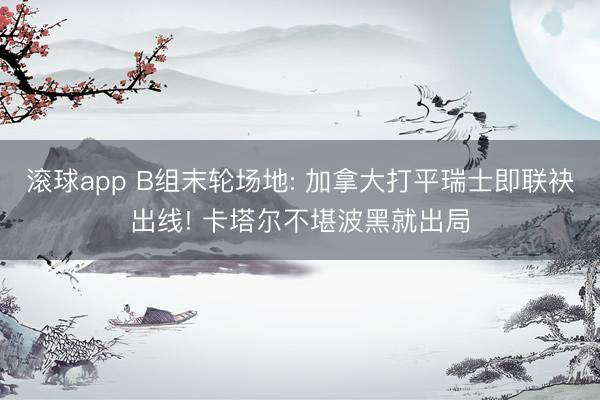 滚球app B组末轮场地: 加拿大打平瑞士即联袂出线! 卡塔尔不堪波黑就出局